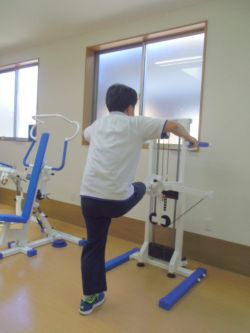 Hogrel（柔軟性の向上）